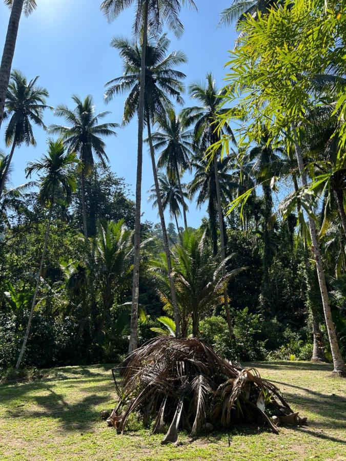 Forestel Kohkood ฟอเรสเทล เกาะกูด Homestay